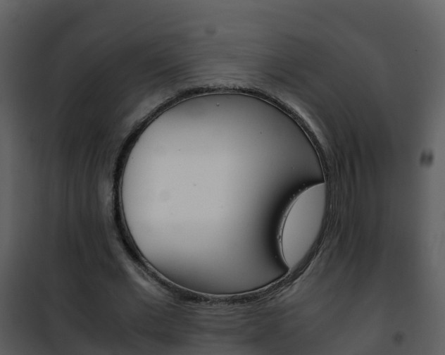 X0000101990677200807180825