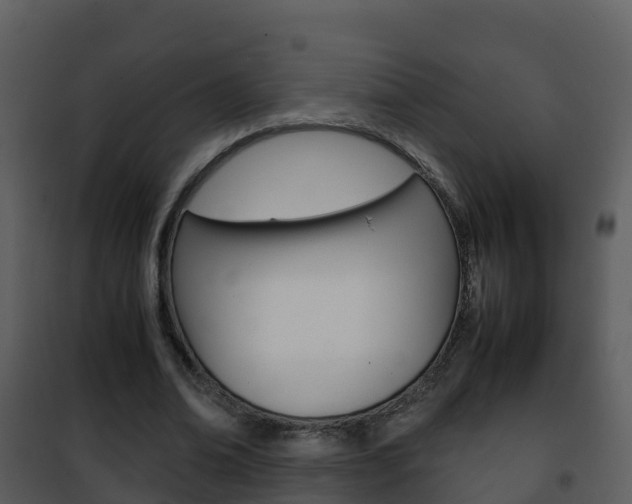 X0000101990678200807180825