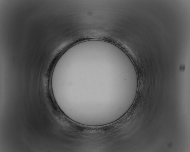 X0000101990679200807180825