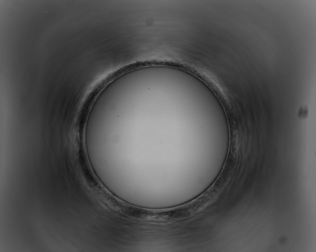 X0000101990680200807180825