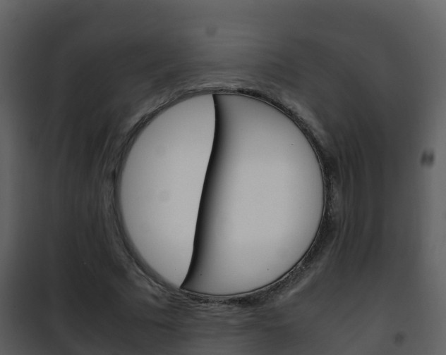 X0000101990681200807180825