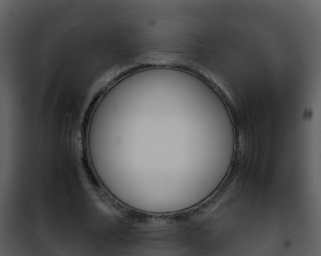 X0000101990682200807180825