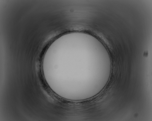 X0000101990683200807180825