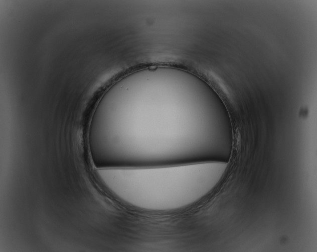X0000101990684200807180825