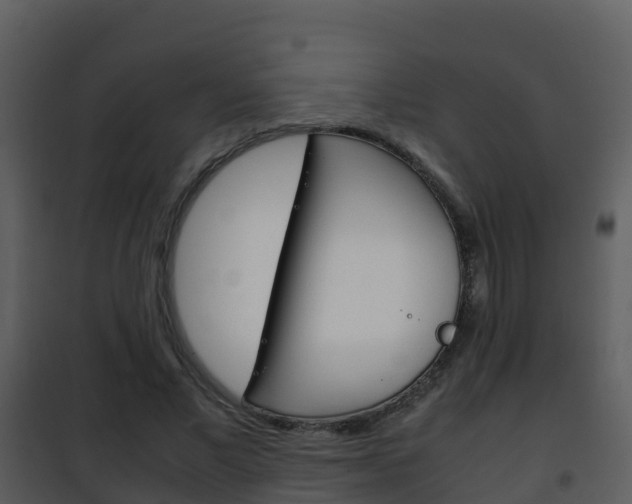 X0000101990685200807180825