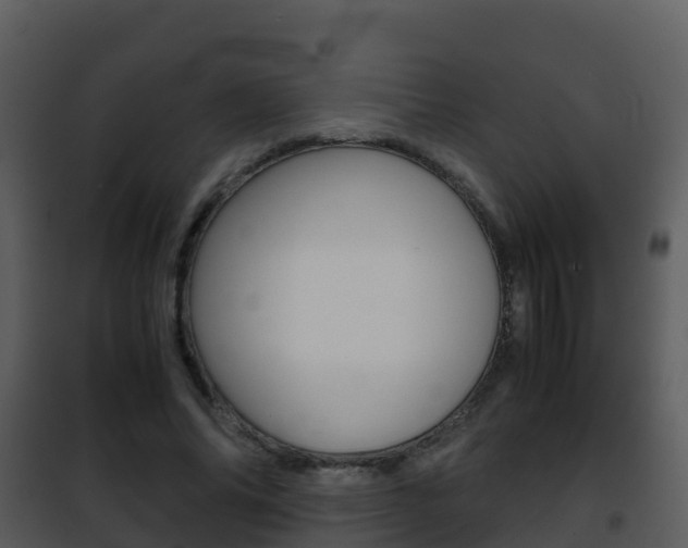 X0000101990686200807180825