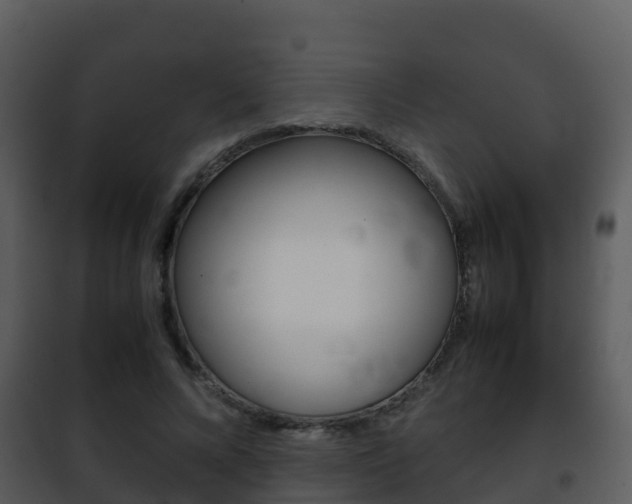 X0000101990688200807180825