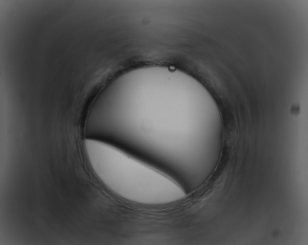X0000101990689200807180825