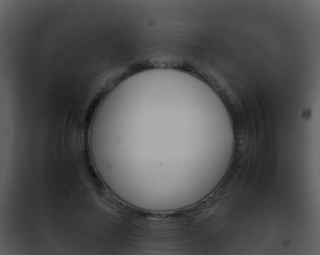 X0000101990690200807180825
