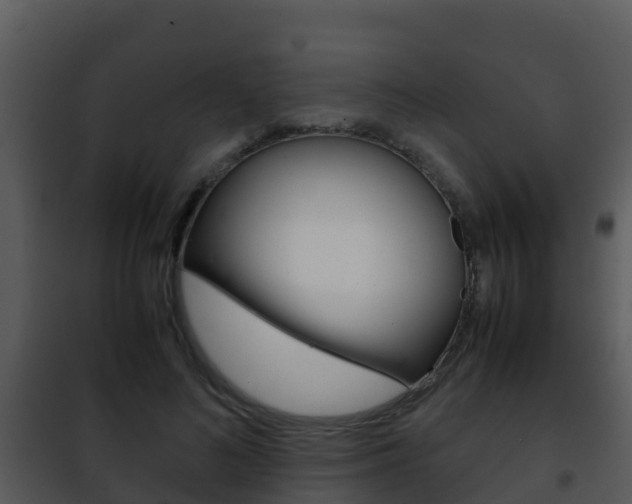 X0000101990692200807180825