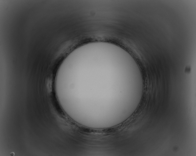X0000101990694200807180825