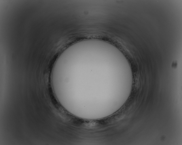 X0000101990695200807180825