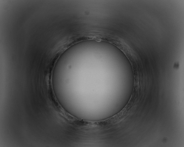 X0000101990696200807180825