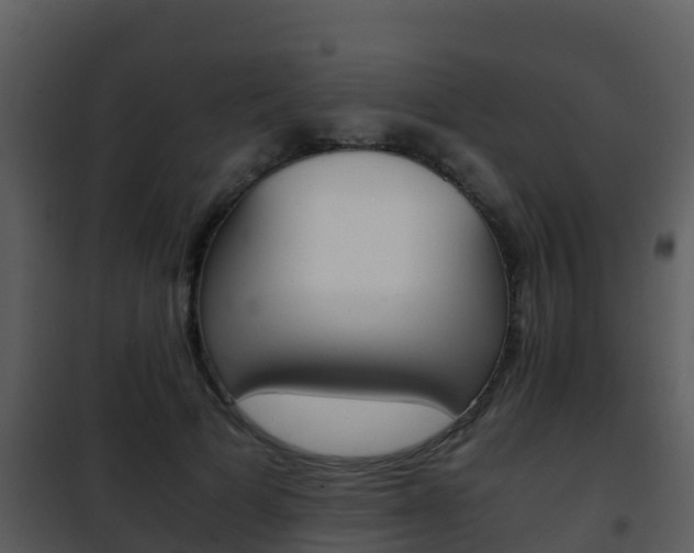 X0000101990697200807180825