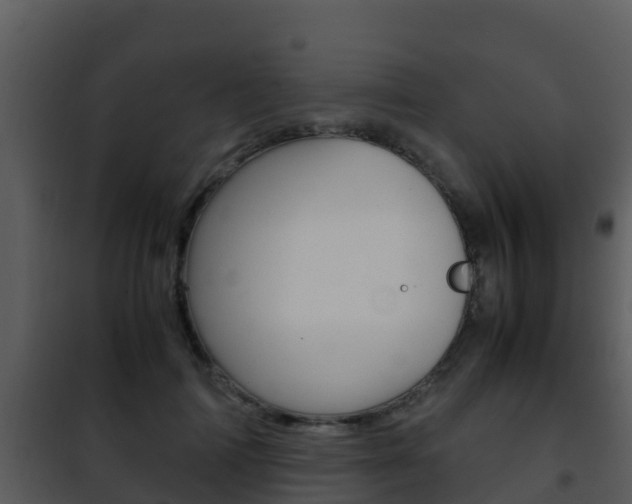 X0000101990698200807180825