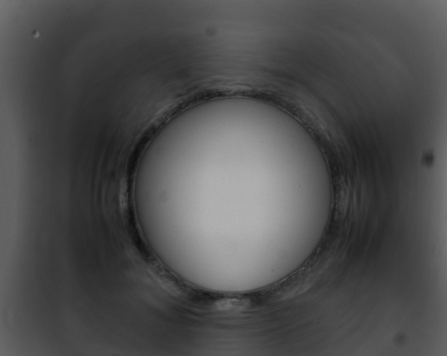 X0000101990700200807180825