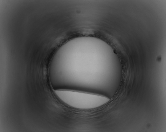 X0000101990704200807180825
