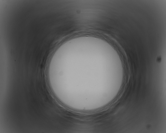 X0000101990705200807180825