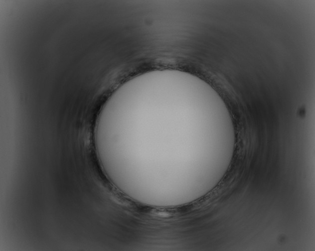 X0000101990706200807180825