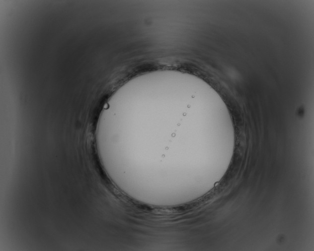 X0000101990707200807180825