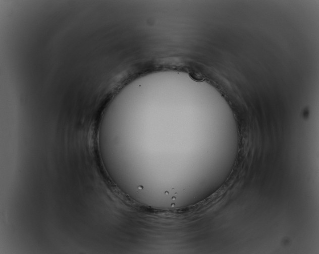 X0000101990708200807180825