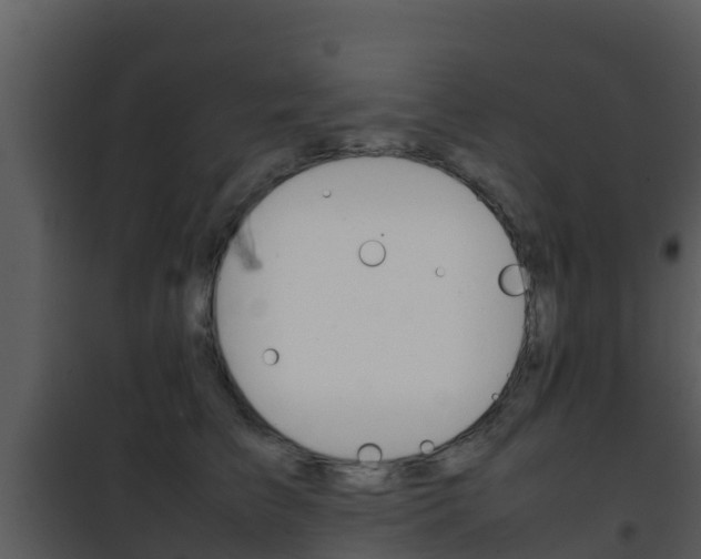X0000101990709200807180825