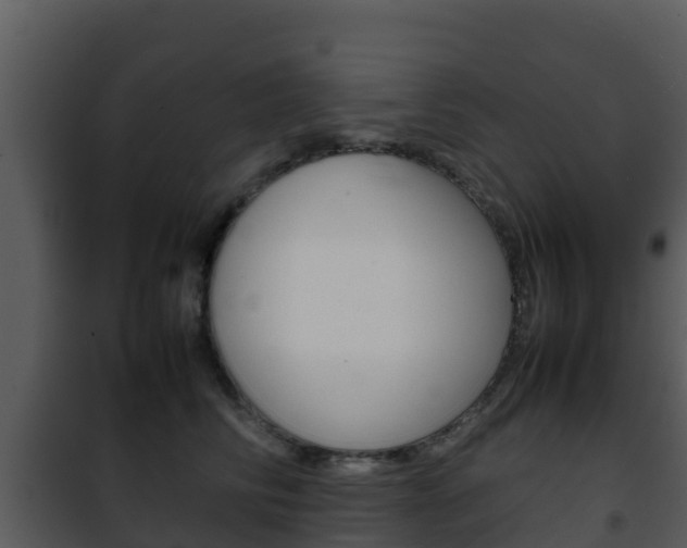 X0000101990710200807180825