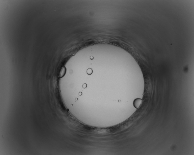 X0000101990711200807180825