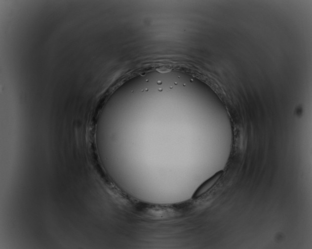 X0000101990712200807180825