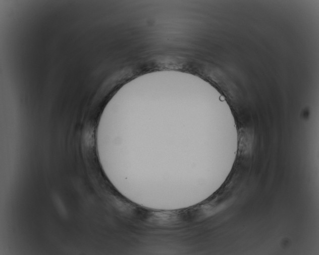 X0000101990713200807180825