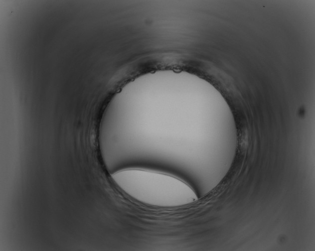 X0000101990715200807180825