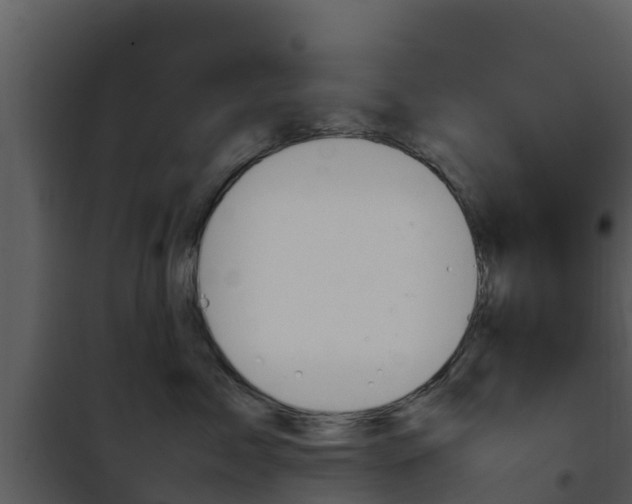 X0000101990717200807180825