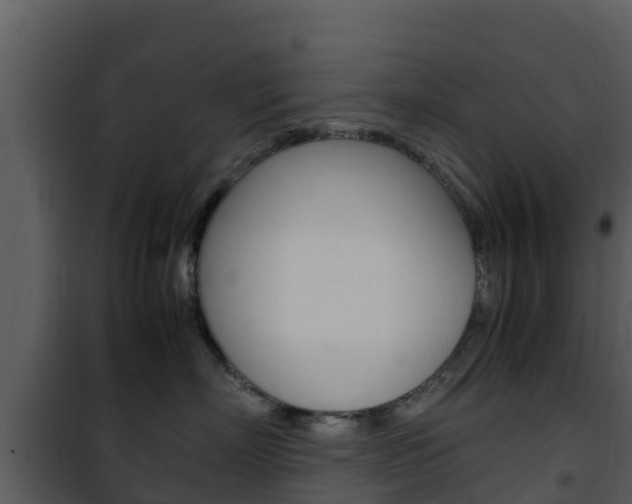 X0000101990718200807180825