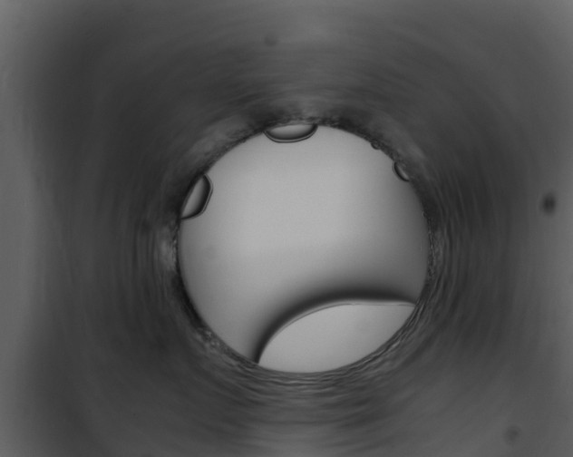 X0000101990719200807180825