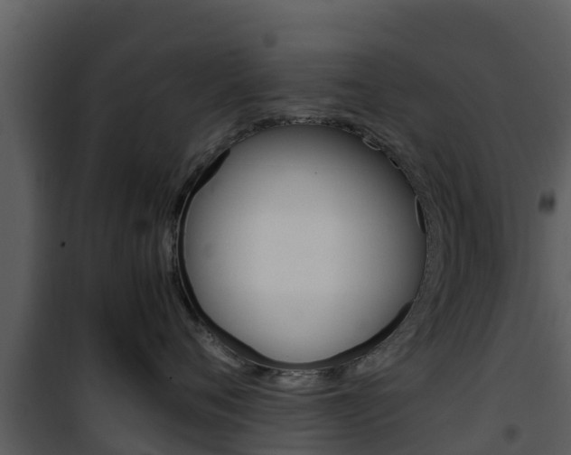 X0000101990720200807180825