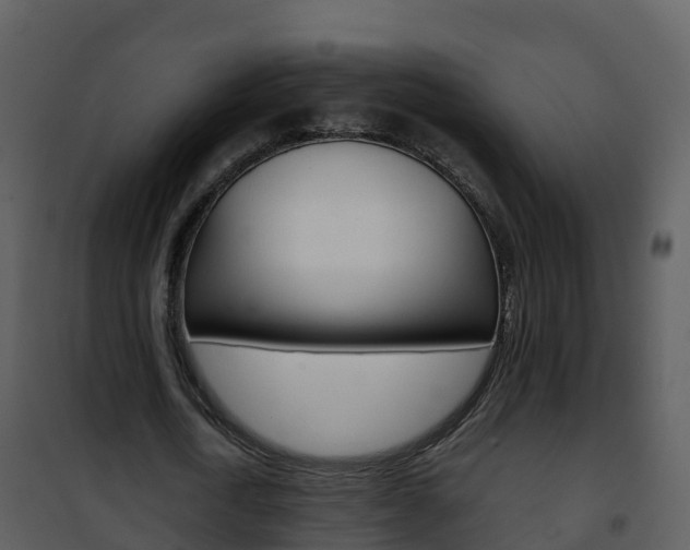 X0000101990722200807180824