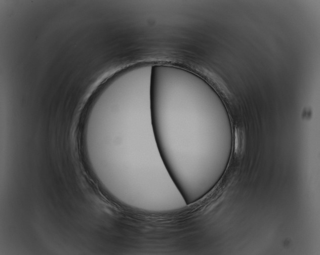 X0000101990723200807180824
