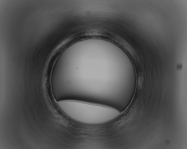 X0000101990724200807180824