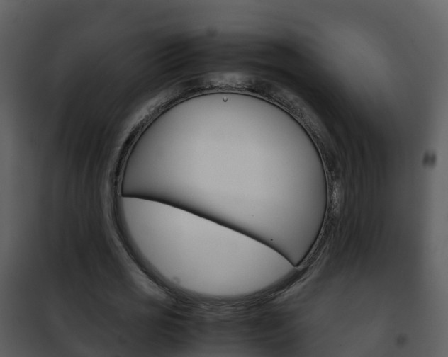 X0000101990725200807180824