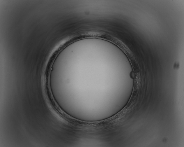 X0000101990726200807180824