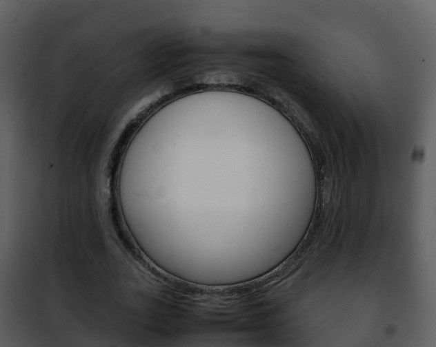 X0000101990727200807180824