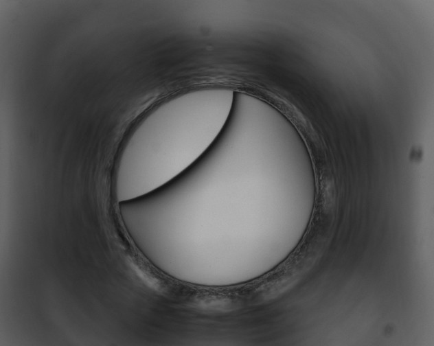 X0000101990729200807180824