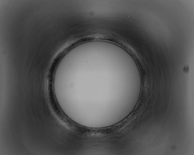 X0000101990730200807180824