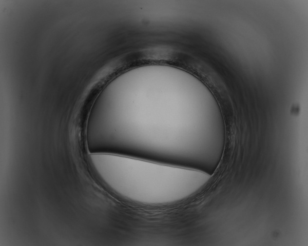 X0000101990731200807180824