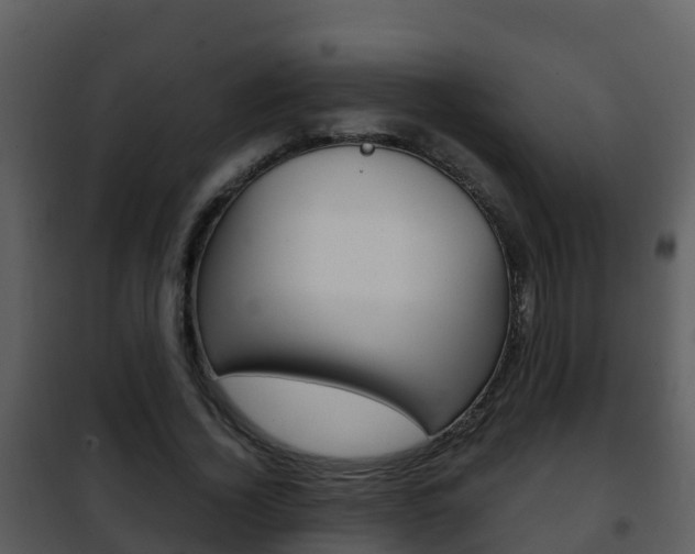 X0000101990732200807180824