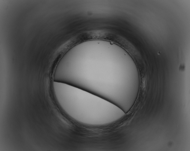 X0000101990733200807180824