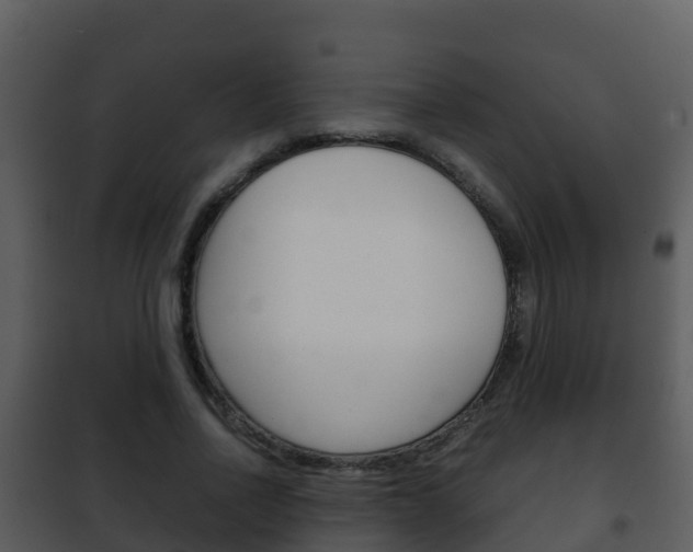X0000101990734200807180824