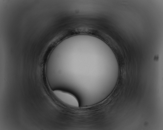 X0000101990735200807180824