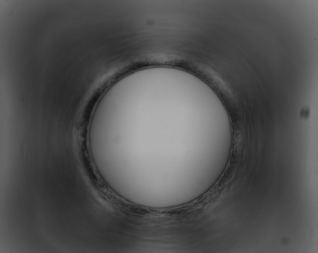 X0000101990736200807180824