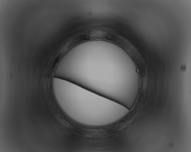 X0000101990737200807180824